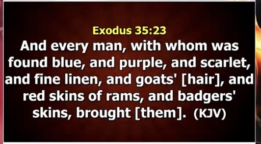 God's Word