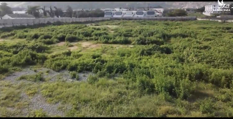 The land